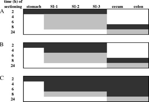 FIG. 1.