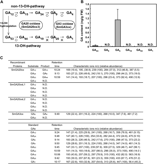 Figure 11.