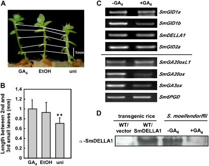 Figure 10.