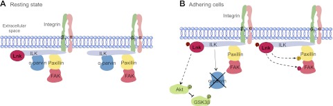 Figure 11.