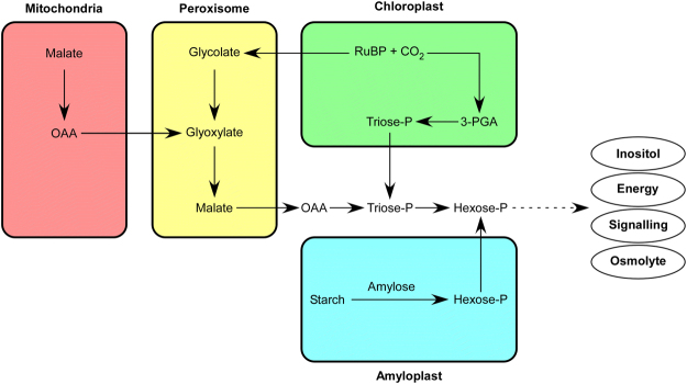Figure 13