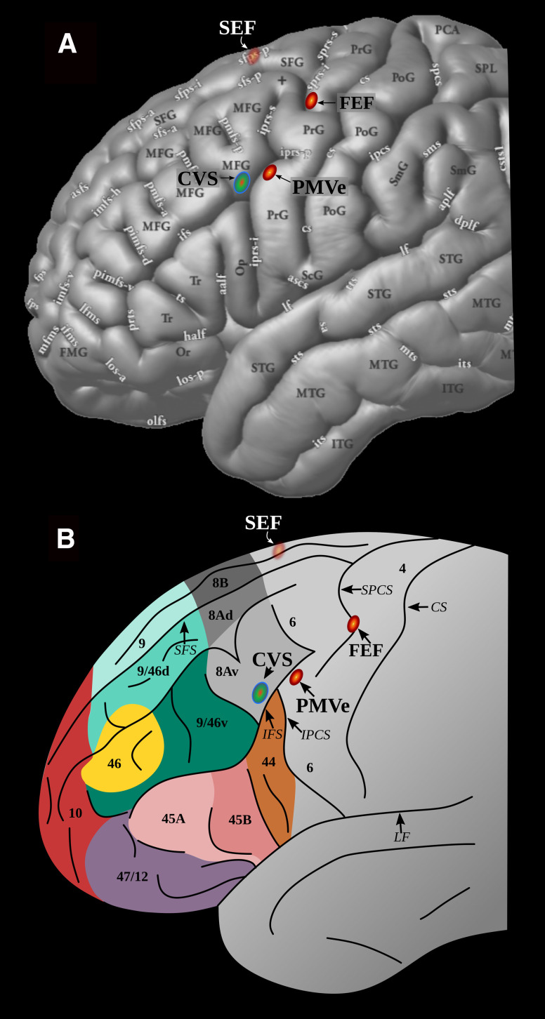 Figure 6.