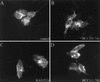 FIG. 9.