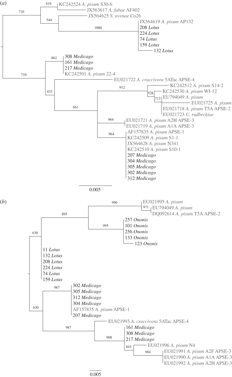 Figure 2.