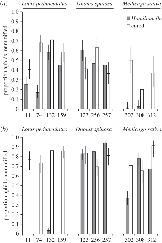 Figure 1.