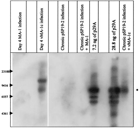 FIG. 5.