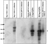 FIG. 5.