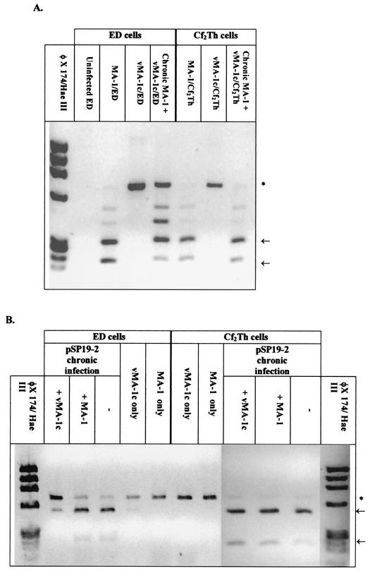 FIG. 6.