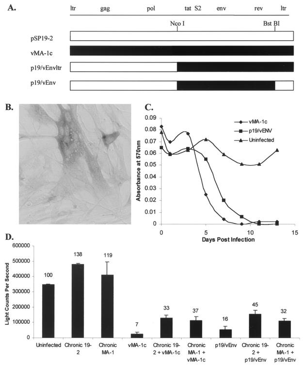 FIG. 8.