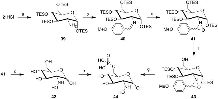 Scheme 4