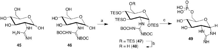 Scheme 5