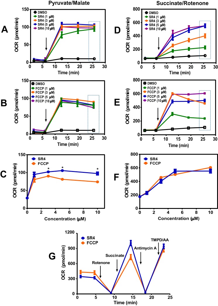 FIGURE 4.