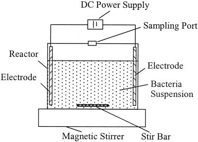 FIG. 1.