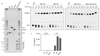 Extended data Fig 4