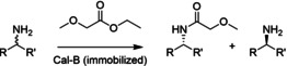 Scheme 4