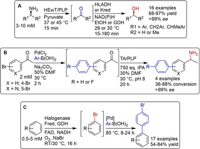 Scheme 6