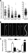 FIG. 2.