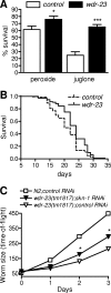 FIG. 10.