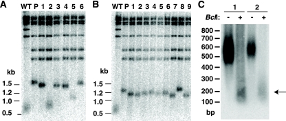 Fig. 6.