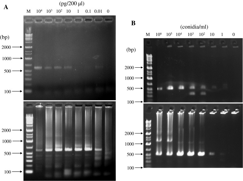 Fig. 2