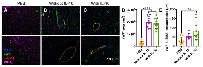 Figure 10.