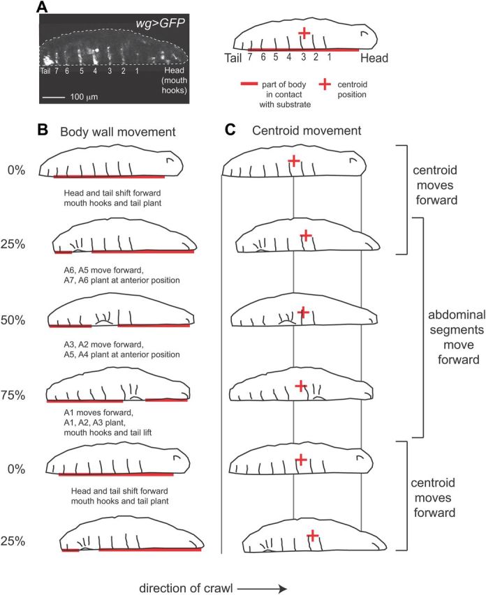 Figure 2.