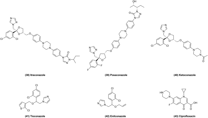 Figure 6