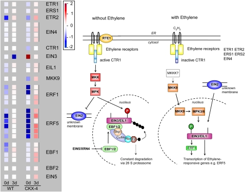 Figure 12.