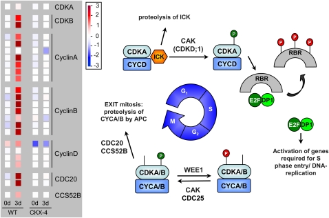 Figure 11.