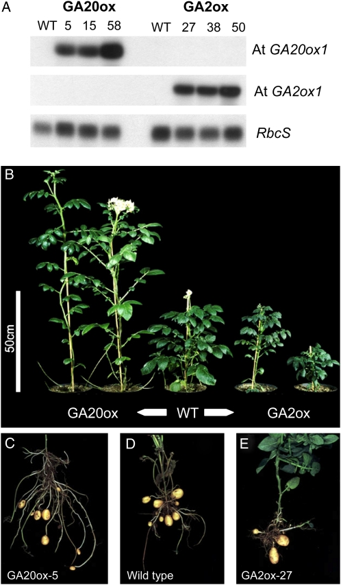 Figure 2.