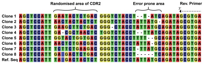 Figure 4