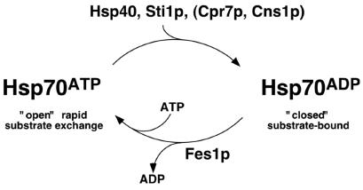 FIG. 7.