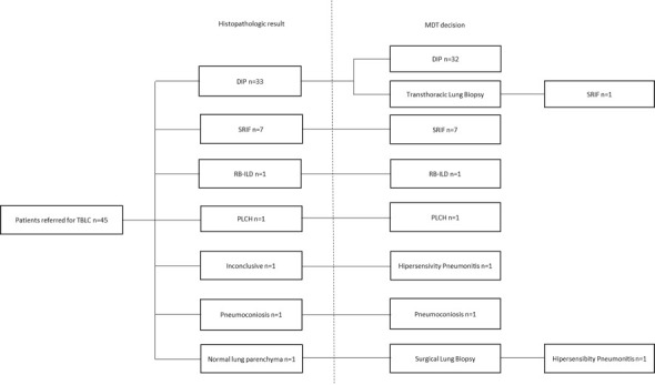 Figure 1.