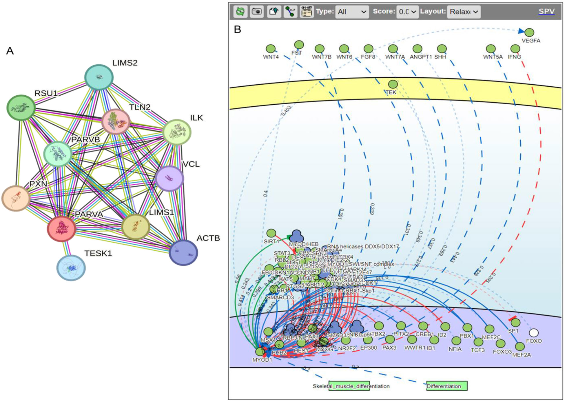 Figure 2: