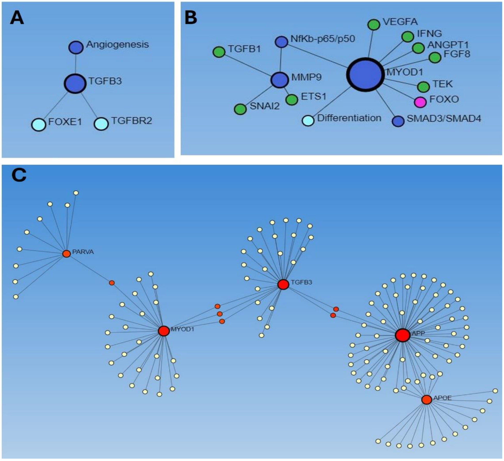 Figure 1: