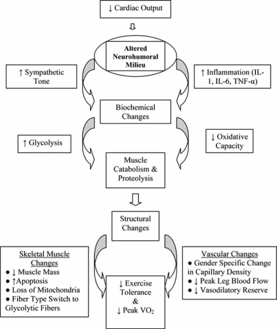 Fig. (2)