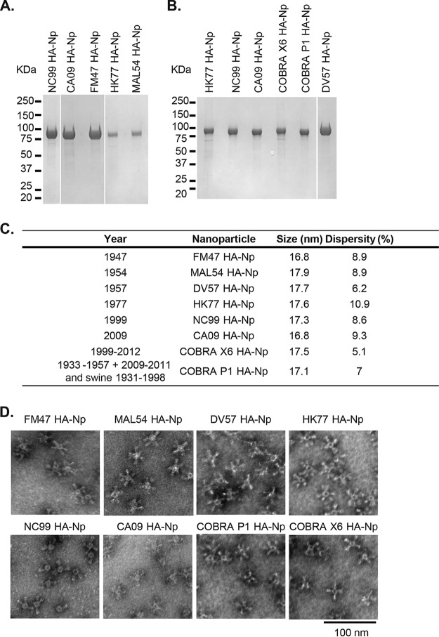 FIG 2