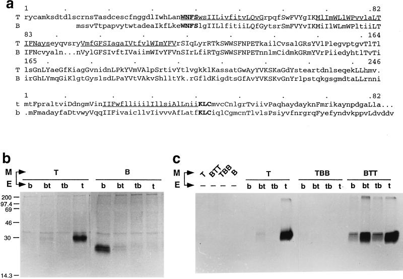 FIG. 5