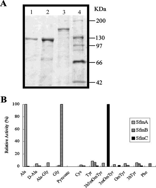 FIG. 5.