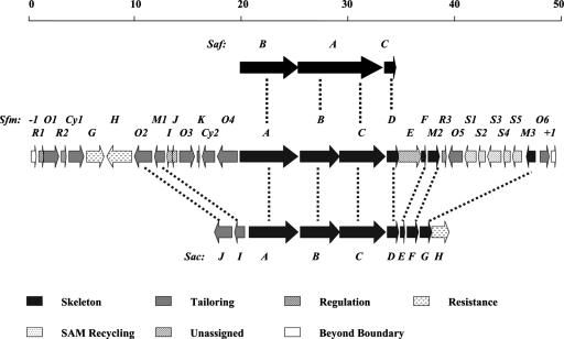 FIG. 2.