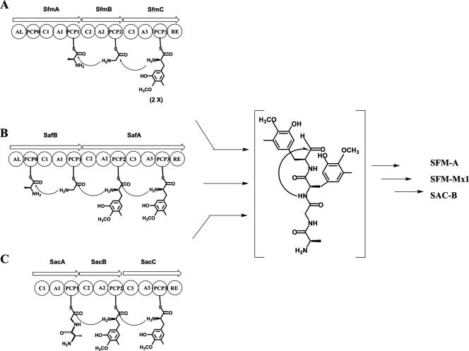 FIG. 6.