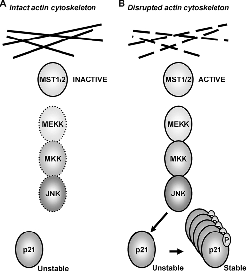 FIG. 7.