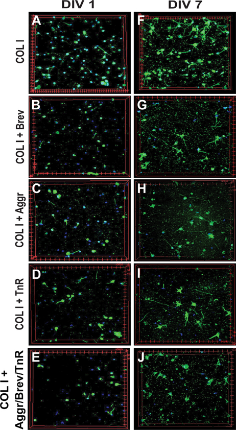 Figure 15.