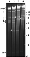 FIG. 3