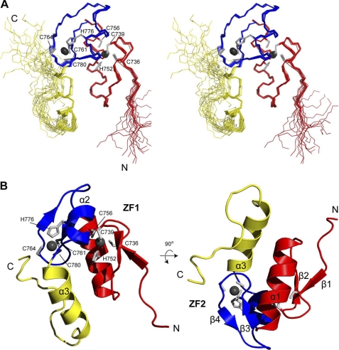 FIGURE 5.