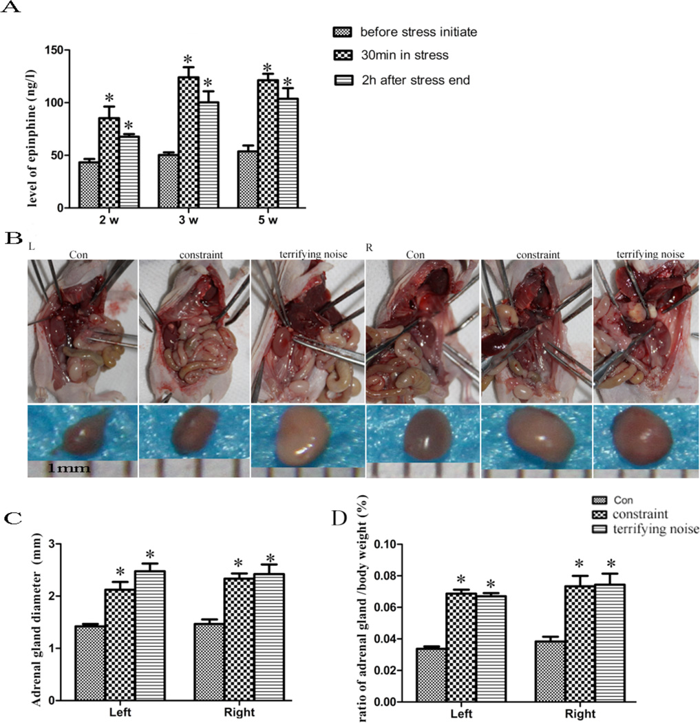 Fig. (2)