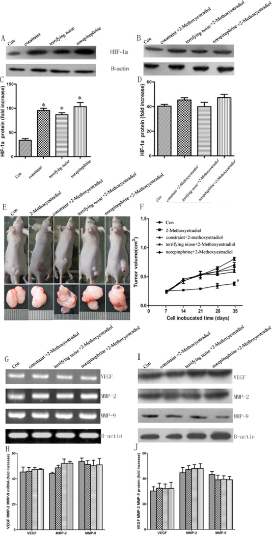 Fig. (6)