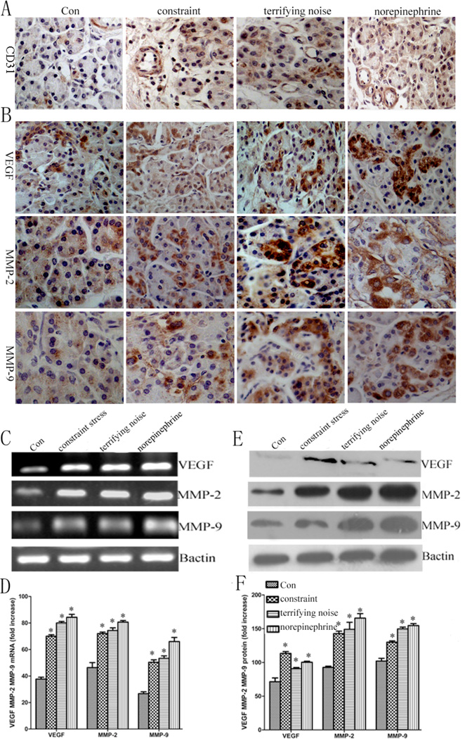 Fig. (4)