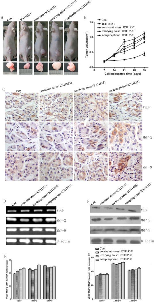 Fig. (5)