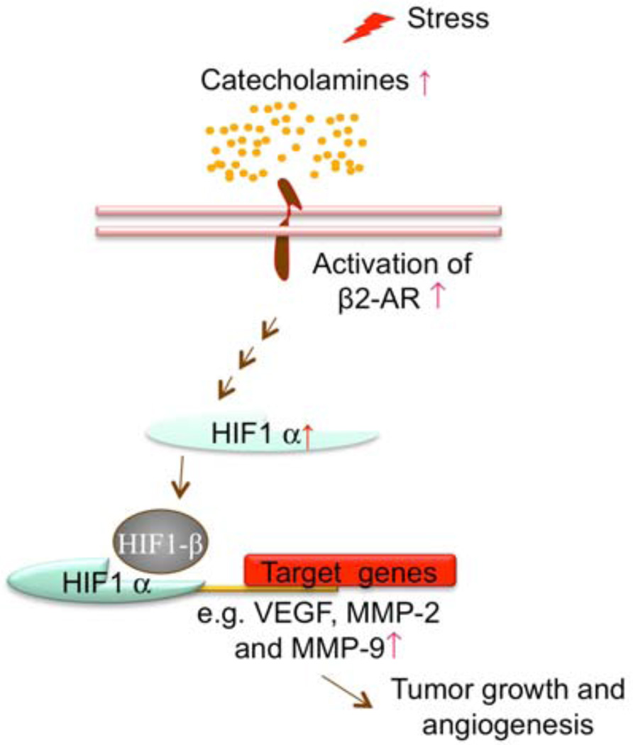 Fig. (7)